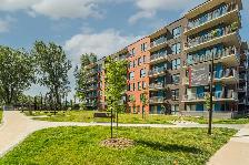 41/2,2,chambres,louer,rent,St-Henri, Verdun,Canal - Photo 12