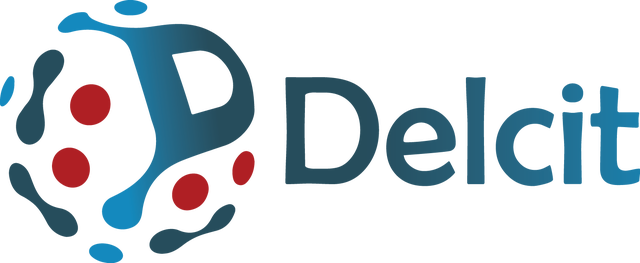 Information Technology (IT) Consultant