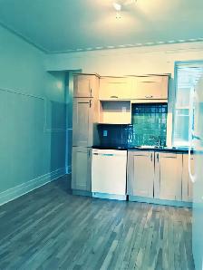 BEAUTIFUL & CHARMING 4 1/2 FOR RENT IN THE PLATEAU