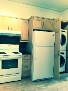 BEAUTIFUL & CHARMING 4 1/2 FOR RENT IN THE PLATEAU - Photo 3