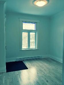 BEAUTIFUL & CHARMING 4 1/2 FOR RENT IN THE PLATEAU - Photo 5