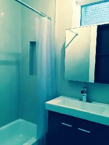 BEAUTIFUL & CHARMING 4 1/2 FOR RENT IN THE PLATEAU - Photo 9