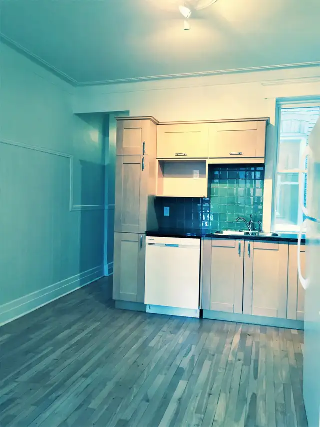BEAUTIFUL & CHARMING 4 1/2 FOR RENT IN THE PLATEAU