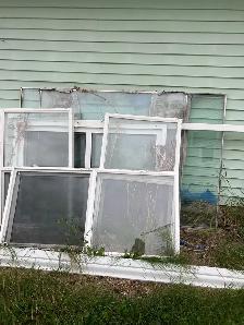 FREE WINDOWS