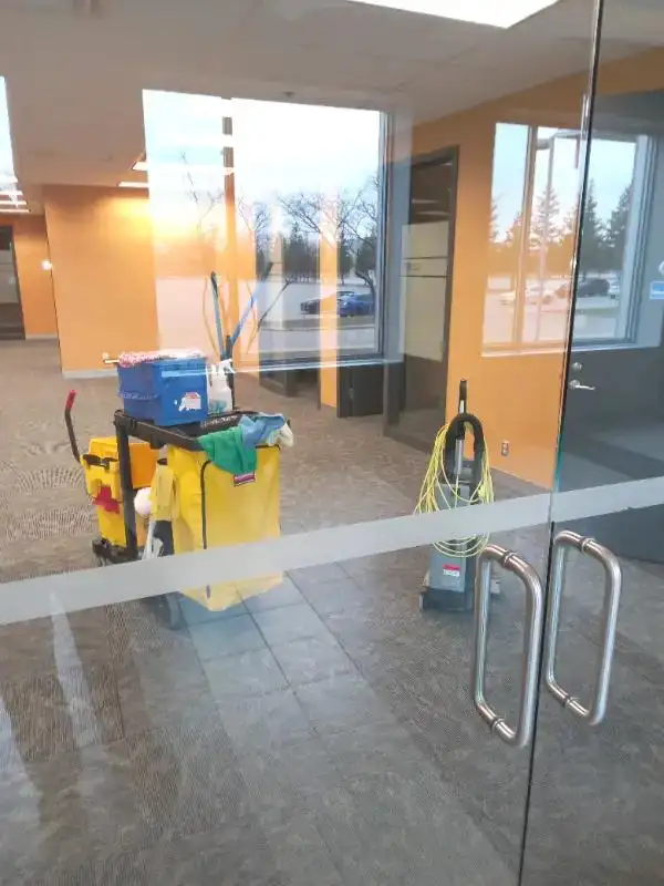 Cleaning/Entretien ménager