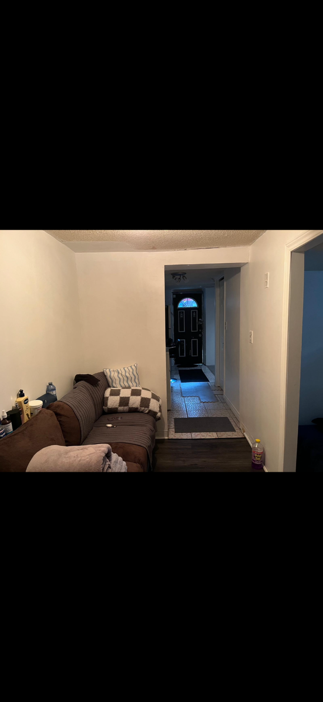 1 Bedroom basement apartment for rent