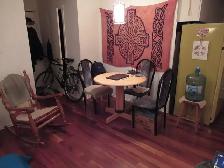 Appartement 1 et demi à louer du 15 novembre au 1 mai 2027 - Photo 3