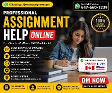 Online Diploma Program Support Exams Assignments Test Quiz A