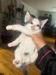 one baby girl left to go