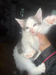 one baby girl left to go - Photo 2