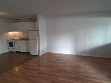 $1275 Bachelor Apartment  946 Balmoral - Photo 3