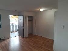 $1275 Bachelor Apartment  946 Balmoral - Photo 4