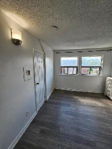 ($1249 fully renovated 1bedroomt on 3rd floor apt.) - Photo 2