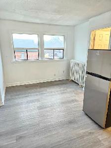 ($1249 fully renovated 1bedroomt on 3rd floor apt.) - Photo 3
