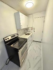 ($1249 fully renovated 1bedroomt on 3rd floor apt.) - Photo 4
