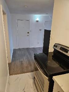 ($1249 fully renovated 1bedroomt on 3rd floor apt.) - Photo 5
