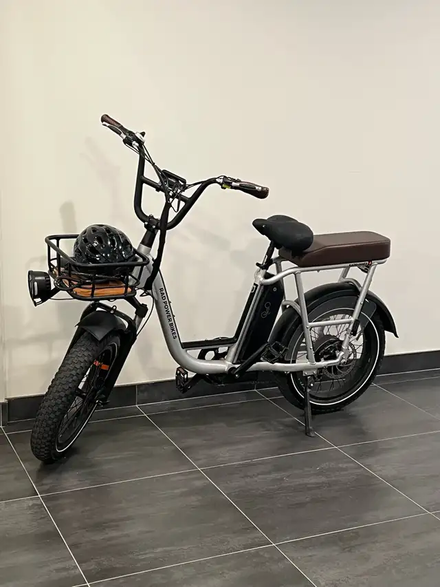 RadRunner Plus Electric Cargo Utility Bike
