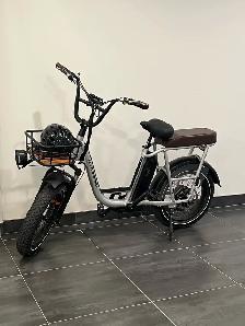 RadRunner Plus Electric Cargo Utility Bike
