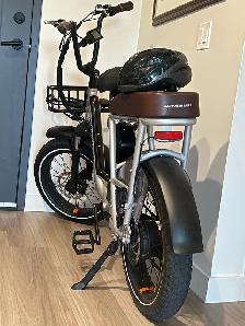 RadRunner Plus Electric Cargo Utility Bike - Photo 2