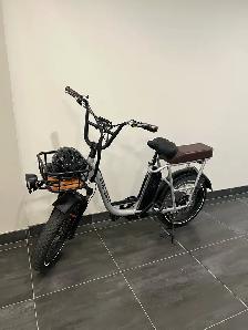 RadRunner Plus Electric Cargo Utility Bike - Photo 3