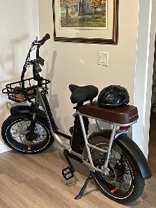RadRunner Plus Electric Cargo Utility Bike - Photo 4