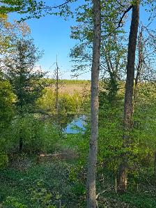 Excellent Location Orillia. Room for rent $975 evething included - Photo 4