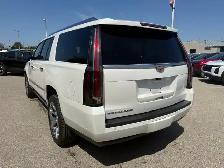 2019 Cadillac Escalade ESV Premium Luxury - Photo 8
