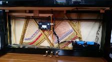 Accordeur de piano -  Entretien & Reparation - Rive-Sud - Photo 9