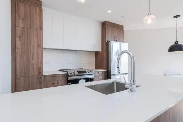 Spacious 1 Bed / 1 Bath Apartment in LaSalle