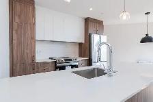 Spacious 1 Bed / 1 Bath Apartment in LaSalle