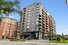 Spacious 2 Bed / 1 Bath Apartment in LaSalle available NOW - Photo 6