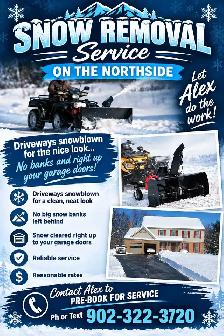 Snow Removal Services - Photo 3