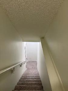 Basement for Rent