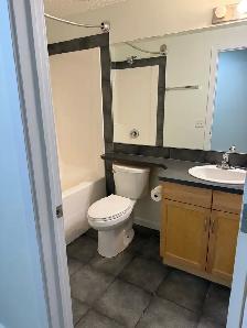 Basement for Rent - Photo 9