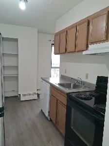 Freshly Updated 1 Bedroom! All Utilities Included! - Photo 4