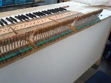 PIANO TUNING & REPAIR ✨514-409-0788 - Photo 2
