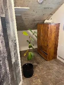 2 1/2 disponible à St-Laurent pour location immédiate - Photo 8