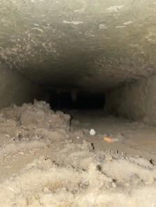 Air Duct  & Furnace Cleaning $129 Limited time offer - Photo 9