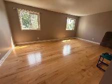 Affordable Professional Cleaning services - Photo 5