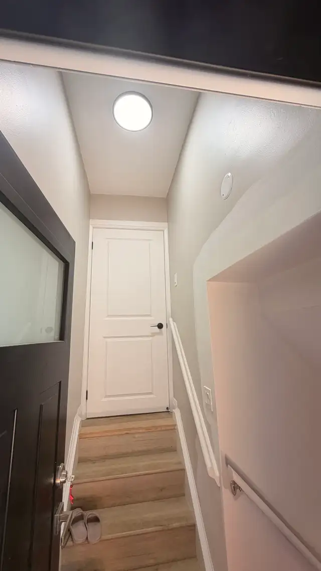Experienced Painter Available – GTA