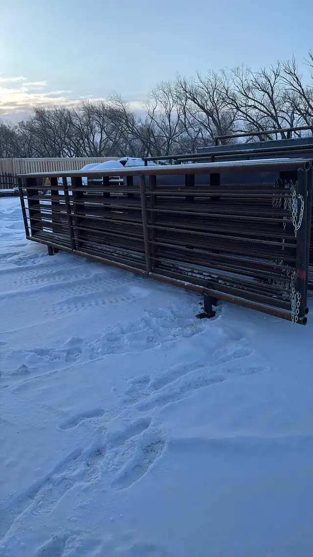24’ livestock panels