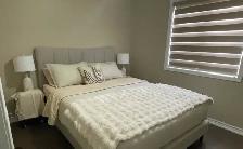 rental rooms are available for girls student only