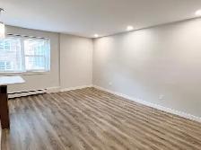 AVAILABLE NOW! $1199 Beautiful Studio Suite in Downtown! - Photo 4