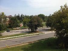 Lge 2Bdrm w/New Kitchen Bath Hardwood Fl Balc@King/Westminister - Photo 9