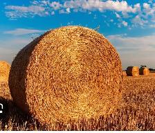 2026  Hay bales Boyle area