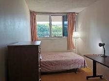 Room available at Eglinton and Don Mills - Photo 3