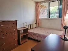 Room available at Eglinton and Don Mills - Photo 4