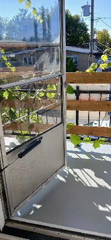 Vieux-Longueuil : 4 et demi à l'étage avec terrasse sur toit, fr - Photo 4