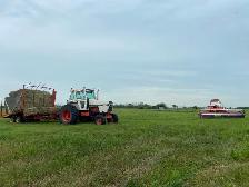 For sale hay bales - Photo 2