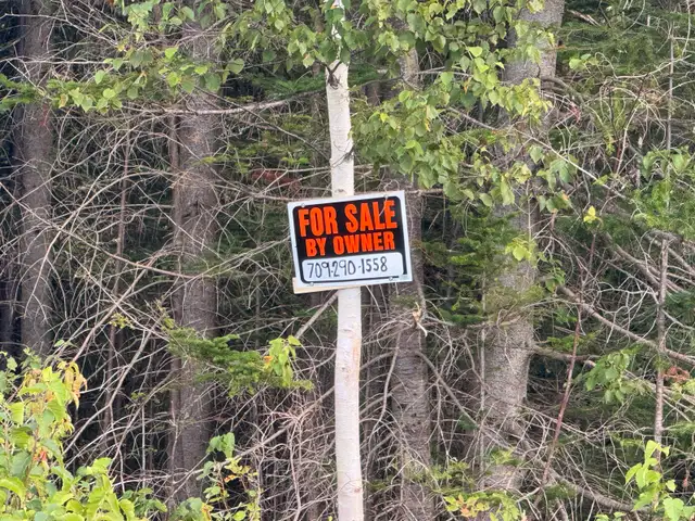 1-Acre Pristine Cabin/Homestead Lot – Cormack, NL